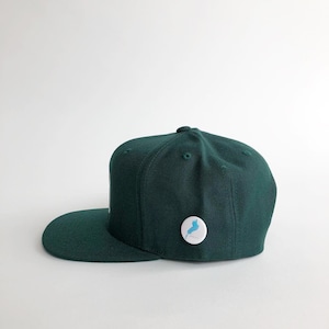 BIWAKO CITY / ゲジナンCAP