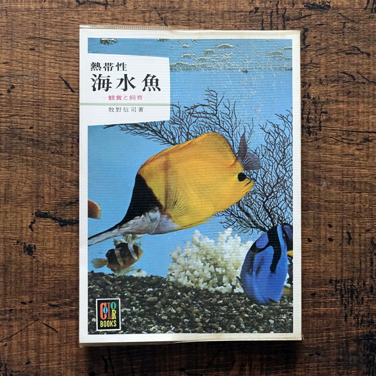 カラーブックス　70冊セット カラーブックス | タイムカプセル