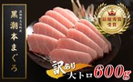 【訳アリ】「最優秀賞受賞」高知県大月町産 本まぐろ　大トロ　不定貫　計600ｇ