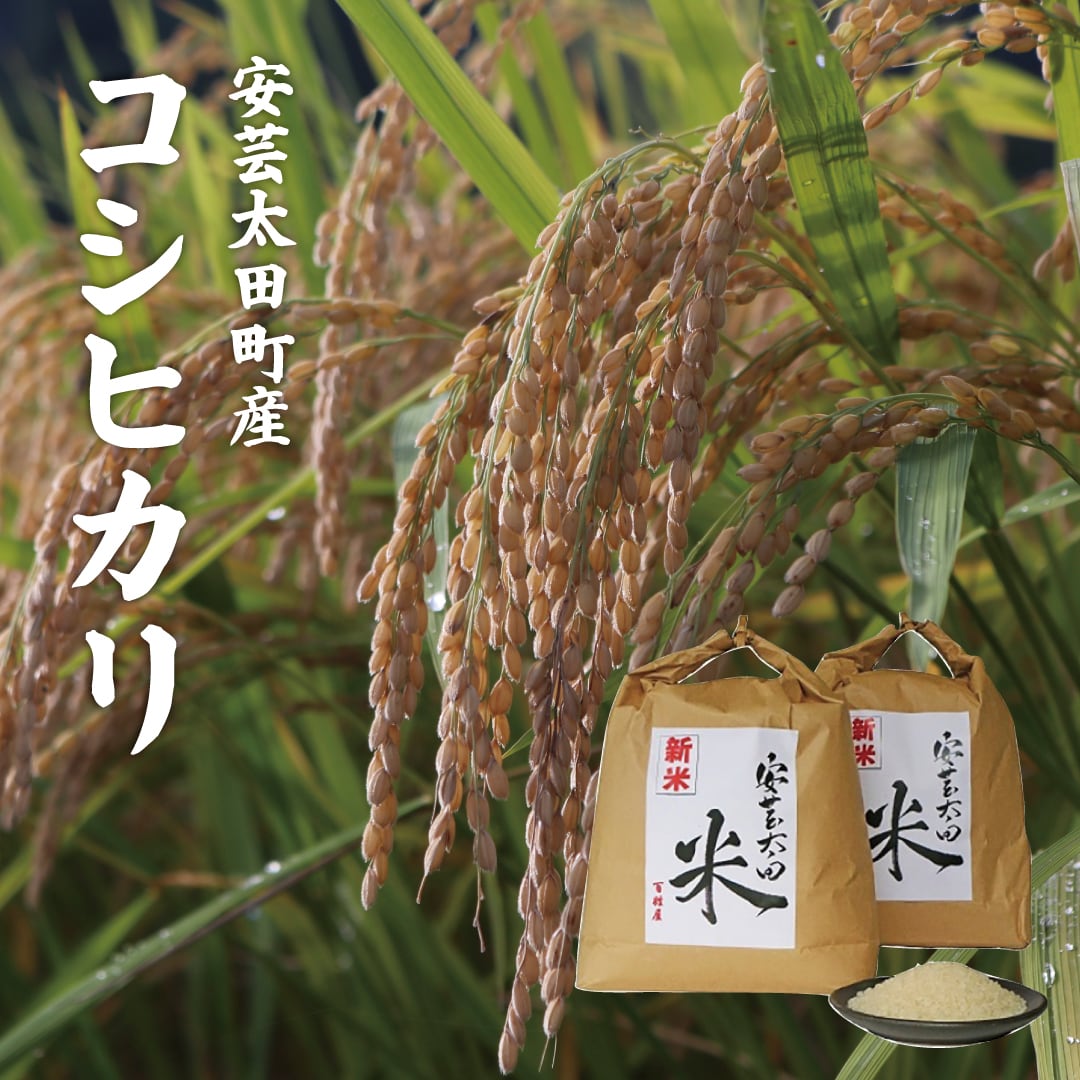 【令和8年産】安芸太田町産百姓屋のこしひかり(白米)5kg