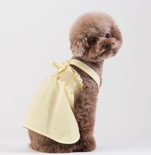 キャット 猫 ドッグ 犬 小型犬 室内着 ドレス スカート ストレート 袖無し 襟無し エンジェル リボン 薄手 シャーリング かわいい きれいめ シンプル 上品 おしゃれ エレガント ラブリー キュート ラグジュアリー カレッジ風 ベーシック プレッピー シンプル フレンチ シック ストライプ 春 夏 ロングシーズン サマーシーズン 春服 夏服 女の子 成犬 成猫 デート お出かけ パーティー イベント リゾート 公園 休日 カフェ 散歩 ウォーキング 室内 おうち 重ね着 楽ちん 普段使い 清楚