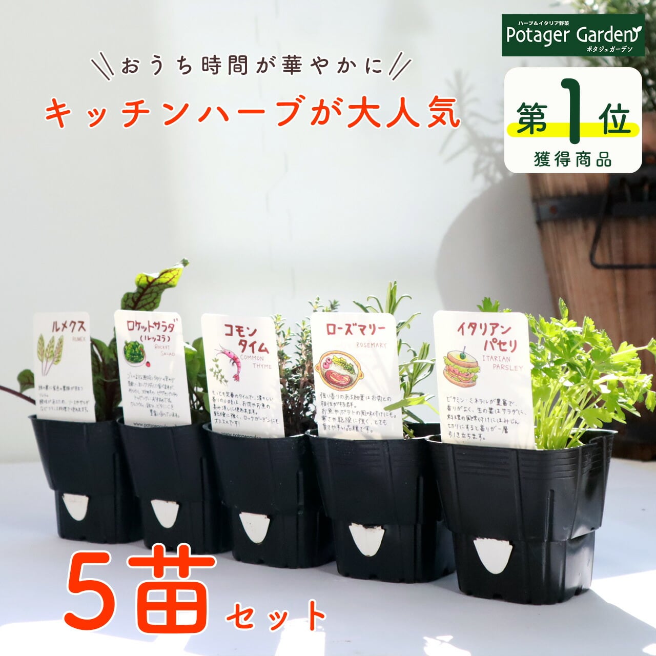 最高級のスーパー ハーブ 苗 セット <br>3号ポット苗×5株セット <br>ハーブティー 料理 庭植え