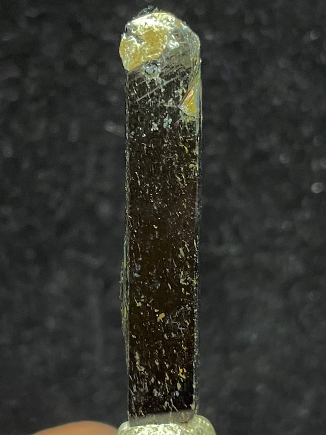 3) スーパー「エジリン」F (小型)