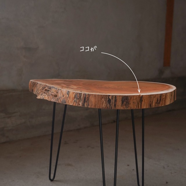 欅の輪切り コーヒーテーブル④（高さ・カラー変更無料）