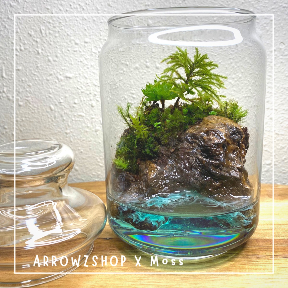 【moss03】苔テラリウム 苔アート テラリウム 苔と海　海岸　レジンアート
