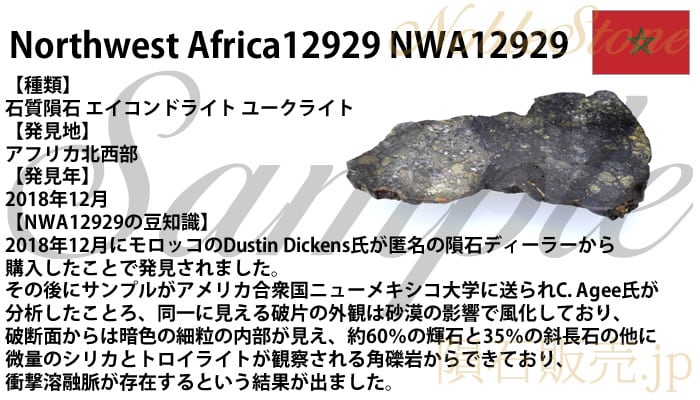 NWA12929 7.4g 標本 隕石 エイコンドライト ユークライト No.5 | 隕石