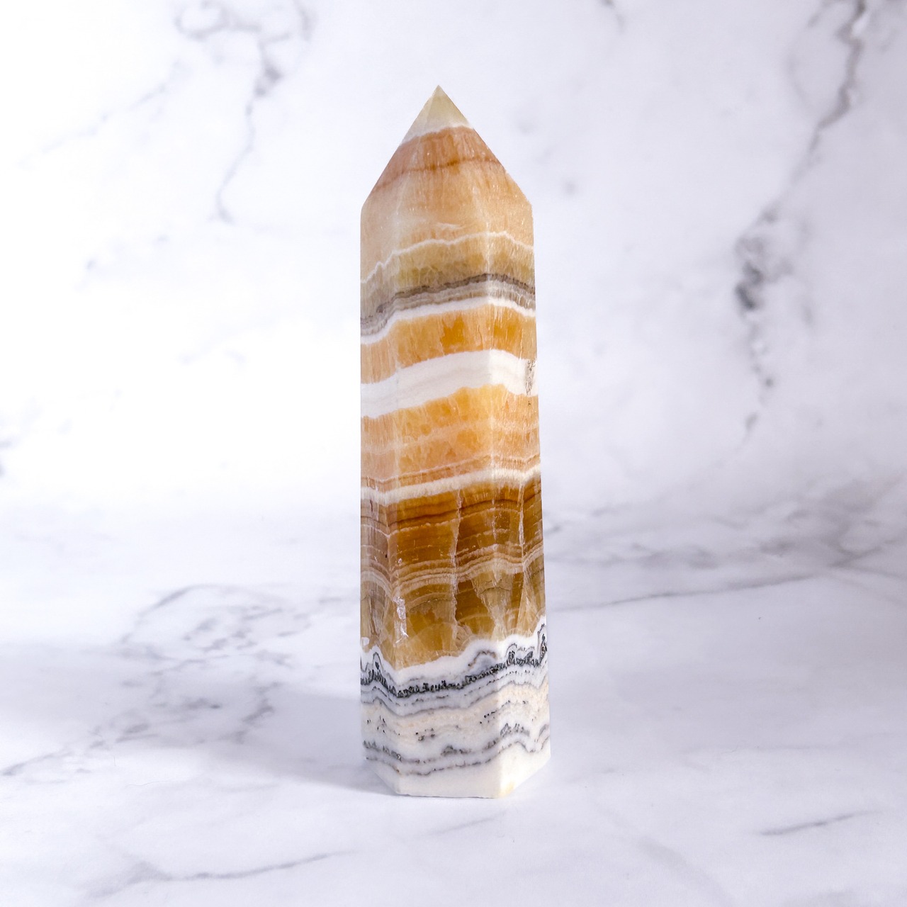 デンドリティックオレンジカルサイト タワーA