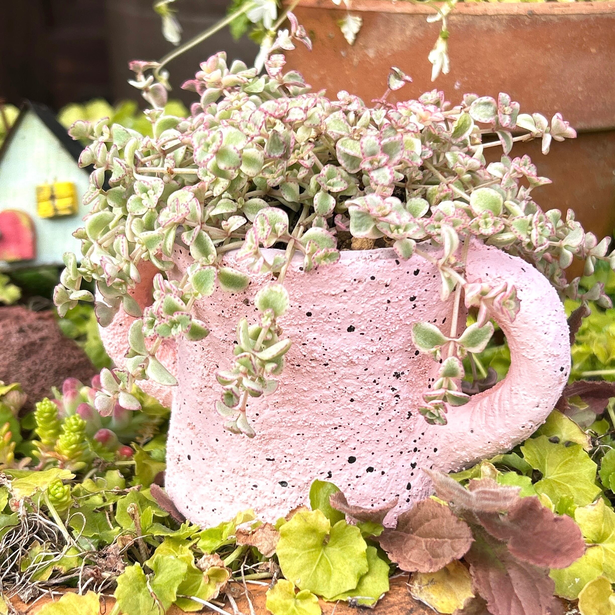 【大好評】ロココ調リメイク鉢、パステルブルー、ピンク 大好評】ロココ調リメイク鉢、パステルブルー、ピンク 大好評】ロココ