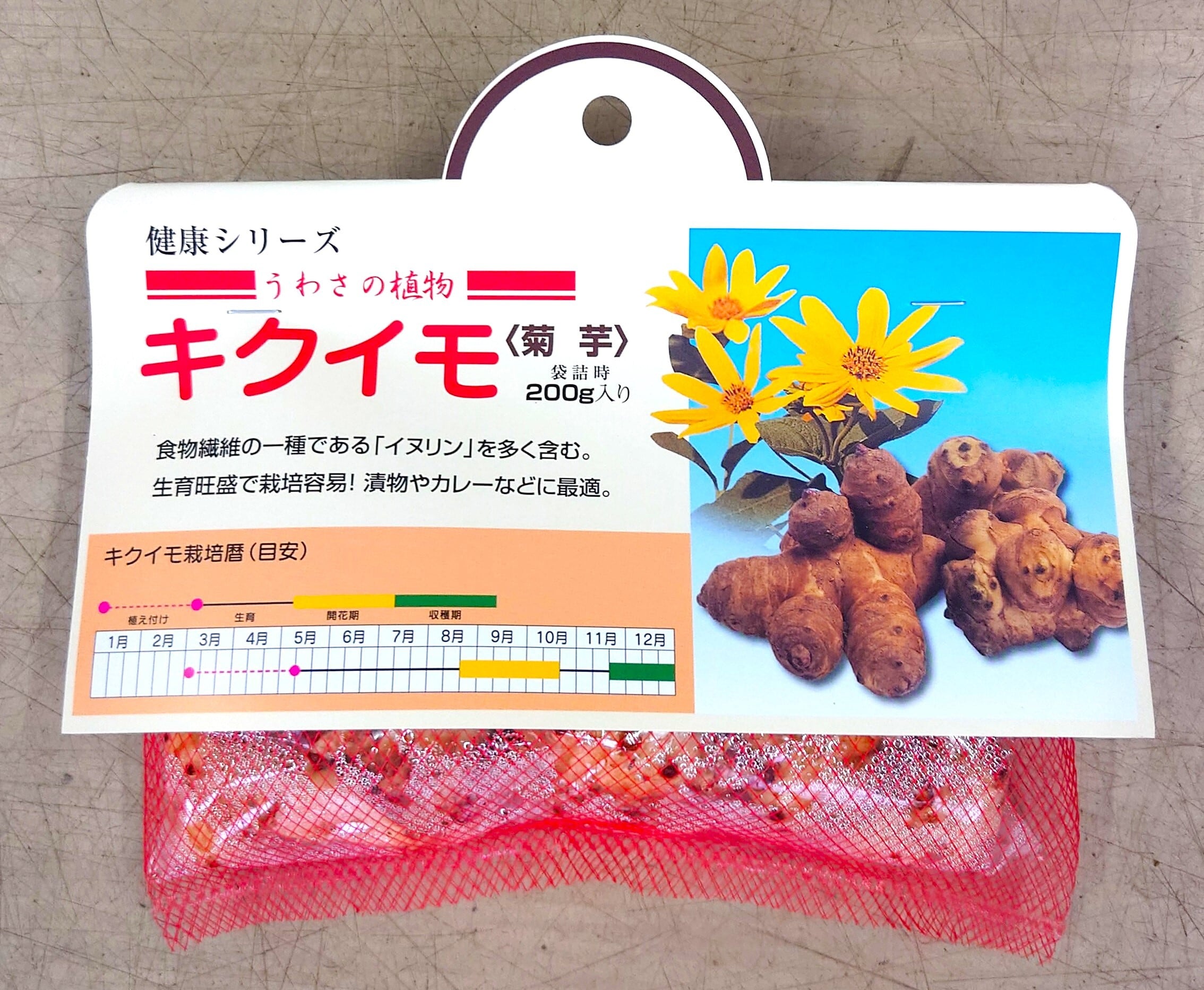 菊芋(種芋)200g