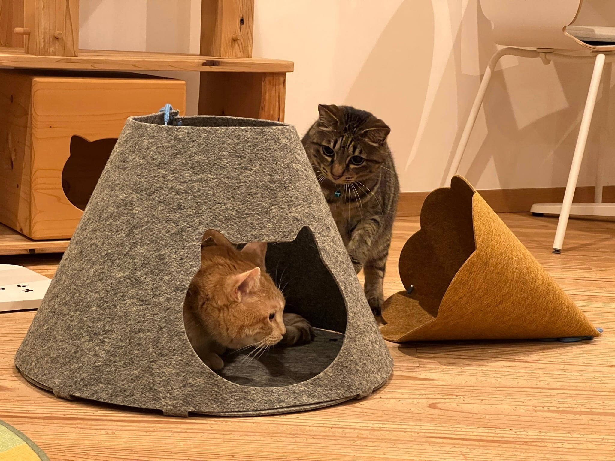 インテリア ネコハウス【にゃろにも】黄・グレー | Non woven world