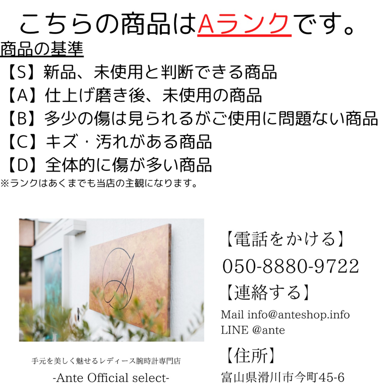 カルティエ トロカデロ YG レザー