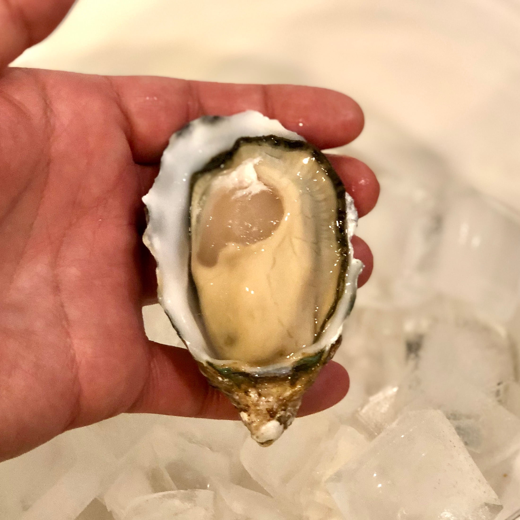 江戸前オイスター 真牡蠣 殻付き牡蠣 生食用カキ 千葉富津産（50-80g/1