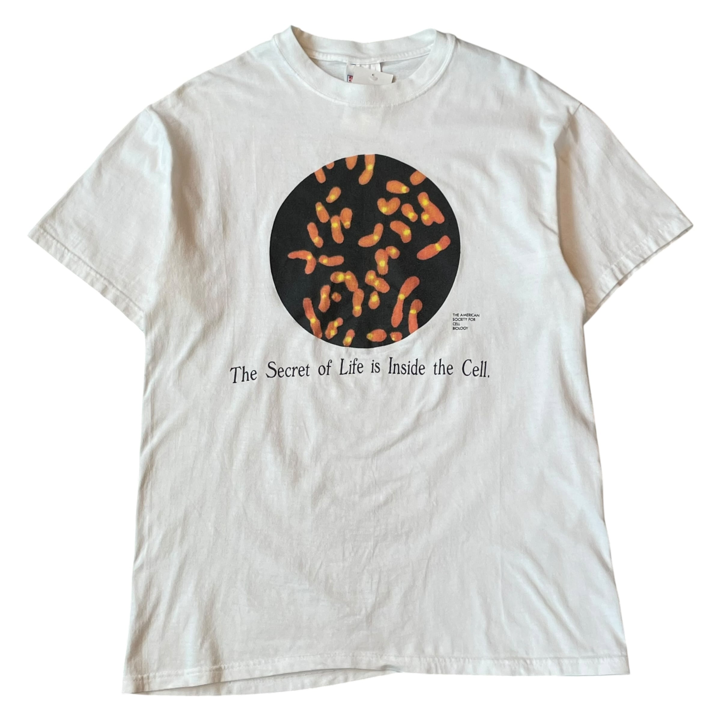 1990s THE ANERICAN SOCIETY FOR CELL BIOLOGY "The Secret of Life is Inside the Cell." T-shirt