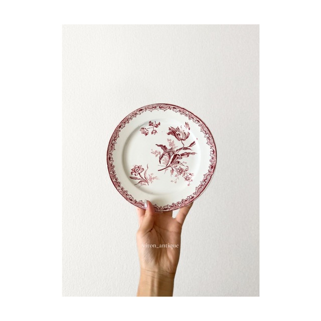 Sarreguemines    サルグミンヌ　/   “Fontanges”　デザートプレート　e