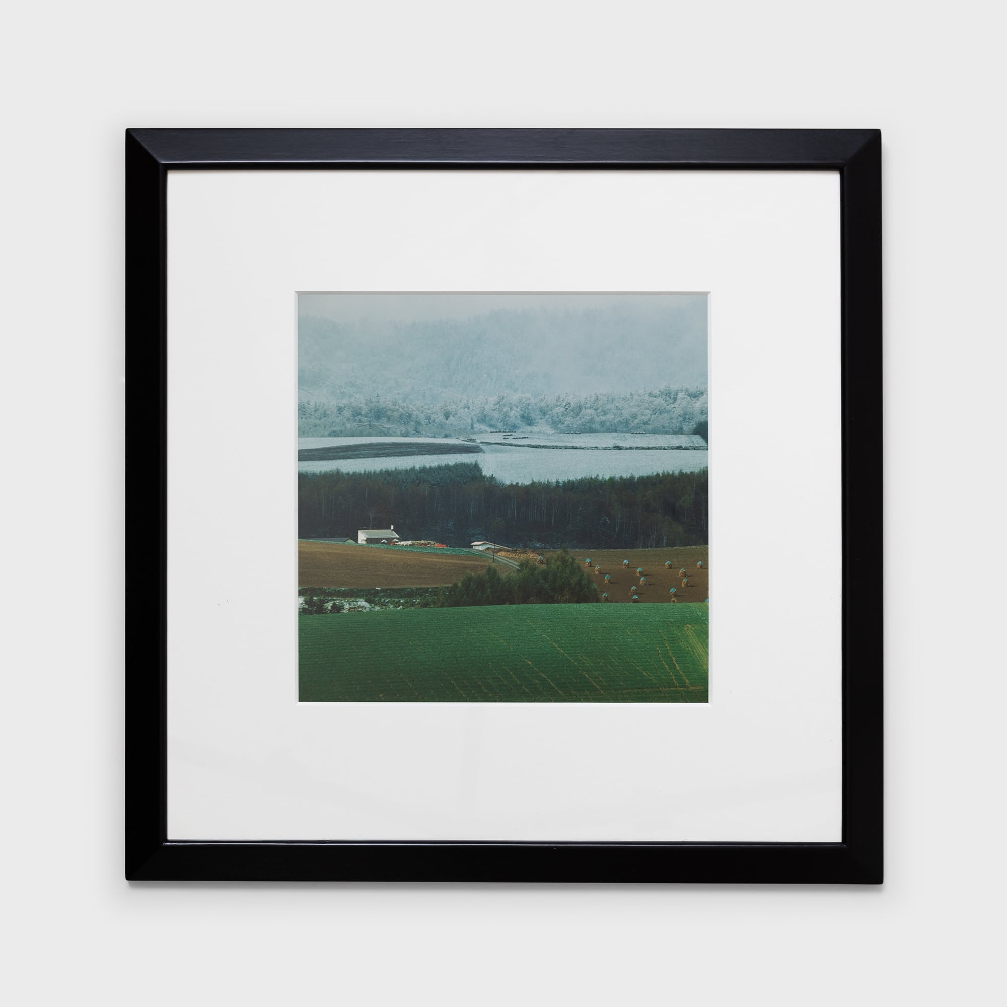 前田真三額装写真「秋の彩り」黒木額〈展示品〉 | 拓真館 TAKUSHINKAN