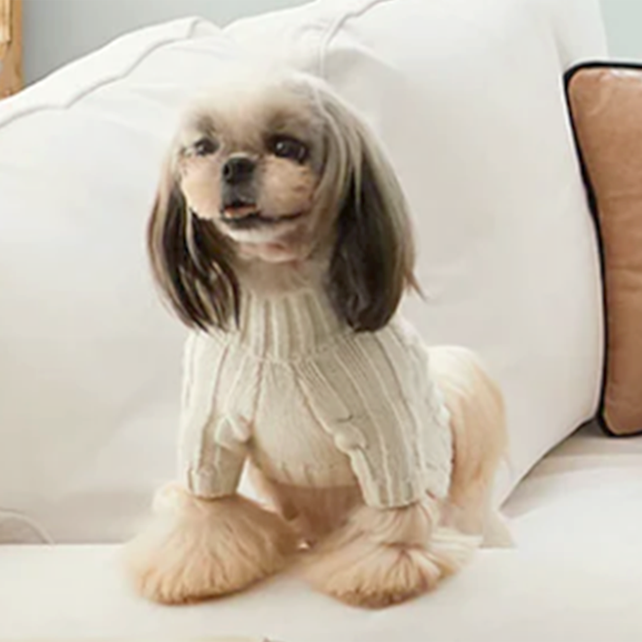 TURTLENECK KNITWEAR / OVER GLAM