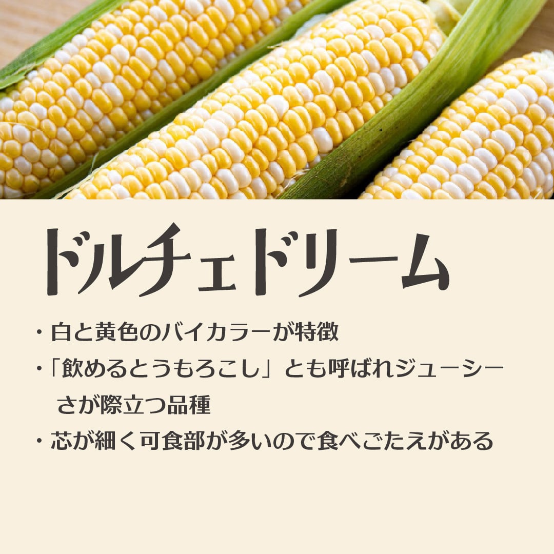 送料半額】朝採れとうもろこし10～12本（ドルチェドリーム