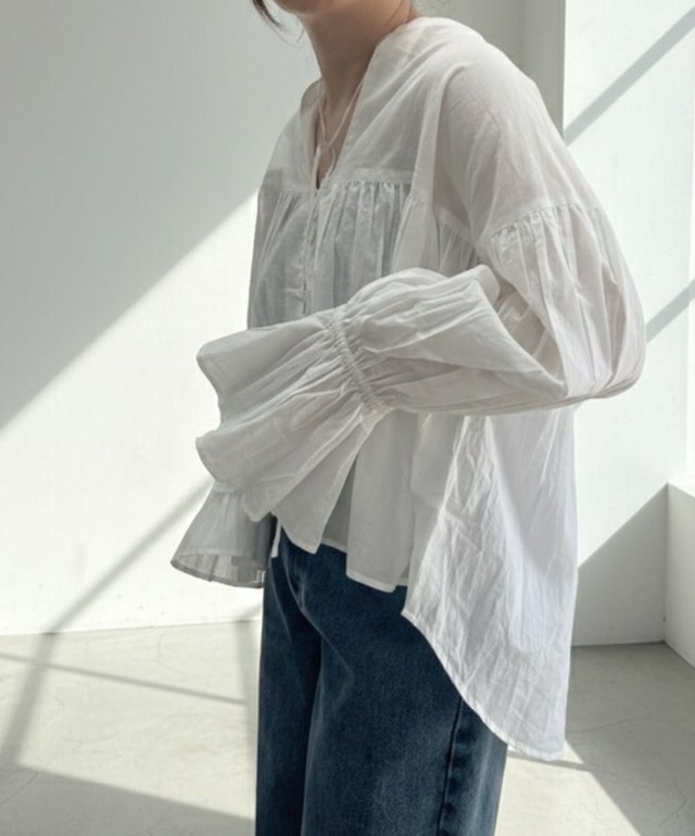 2WAY sleeve blouse