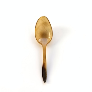 Horn Spoon (b)