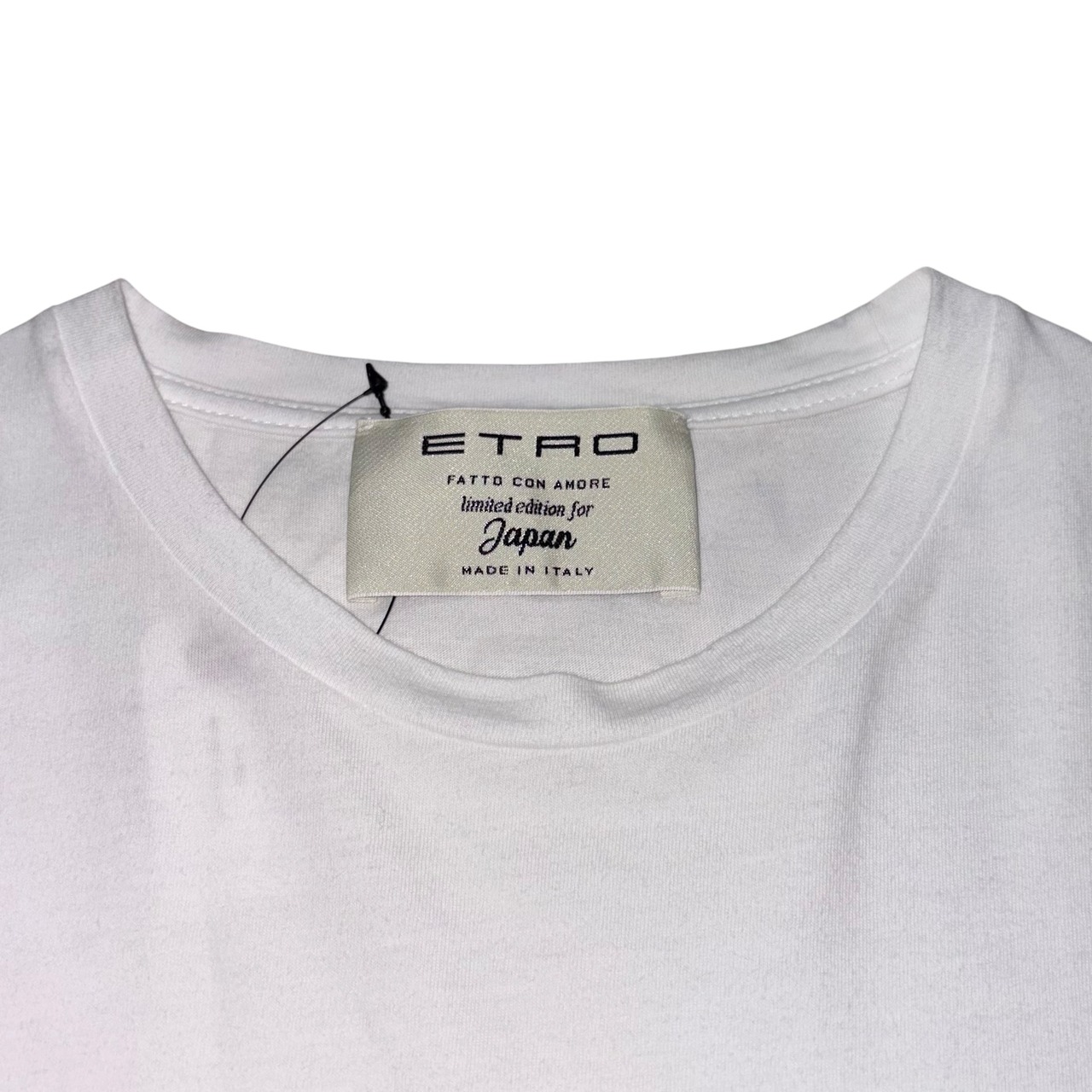 ETRO horizontal indian print tee