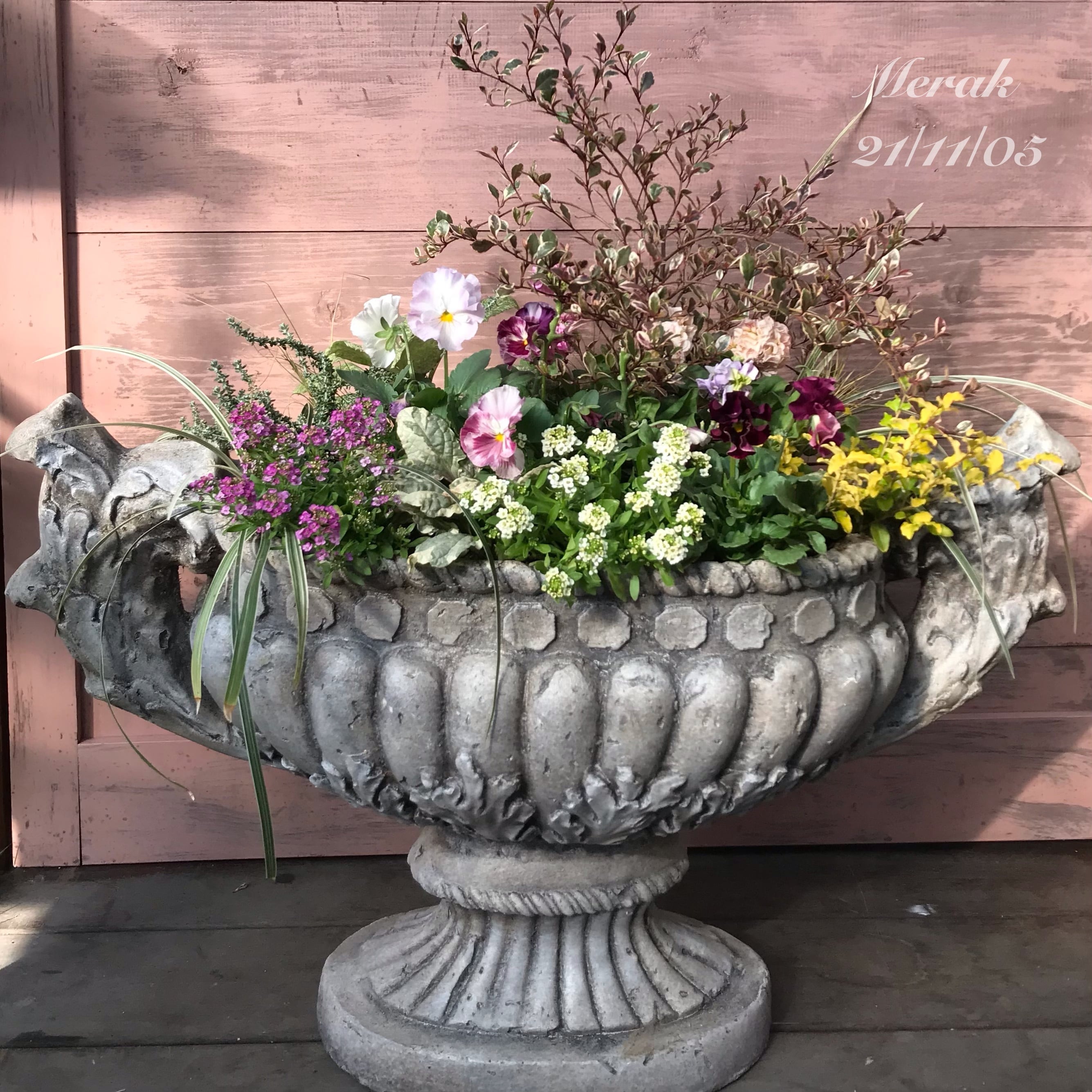 寄せ植え シエルブリエ | Merak - メラク 寄せ植え ガーデニング