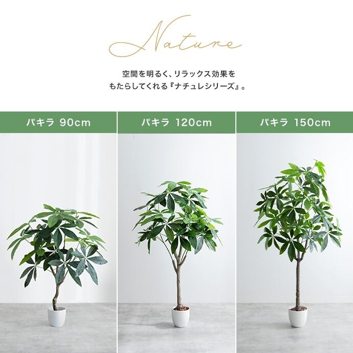 観葉植物 パキラ フェイクグリーン 光触媒人工観葉植物 高さ120cm | FIGARO