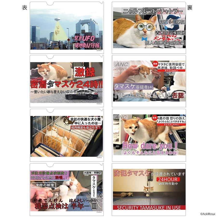 ねこすけ様　確認ページ 逮捕ネコ」タマスケ A4クリアファイル 4枚入りBセット | SPACE