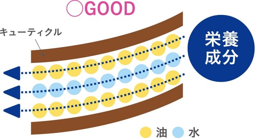 テモイプルーム グリーディエッセンス 詰替用500g | アクアケア
