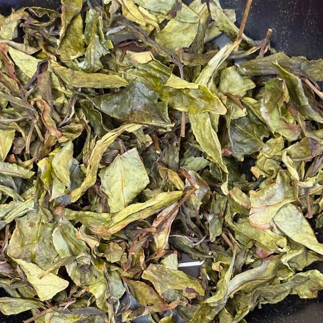 烏龍番茶 20g | 狭山茶製造元 奥富園