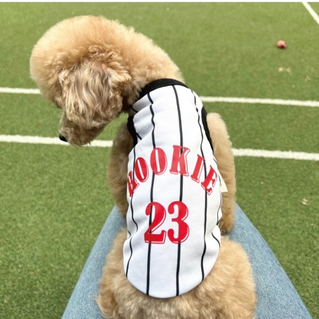 ルーキーダンク・クールな袖なし 全3種(赤・青・黒) 小型犬用 夏 洋服 クール素材