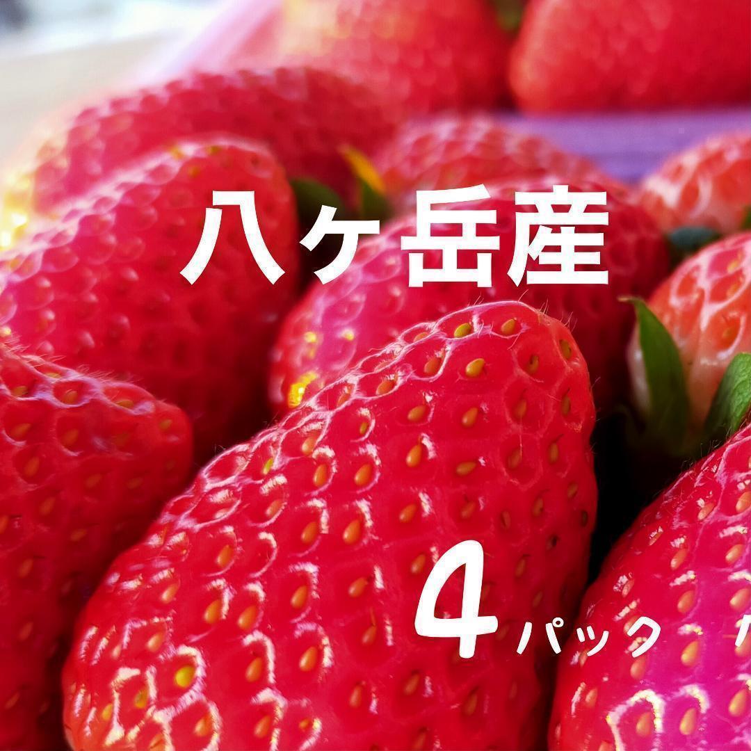 食品 【限定】八ヶ岳産 いちご 約240g x 4パック/箱 ※残留農薬未検出