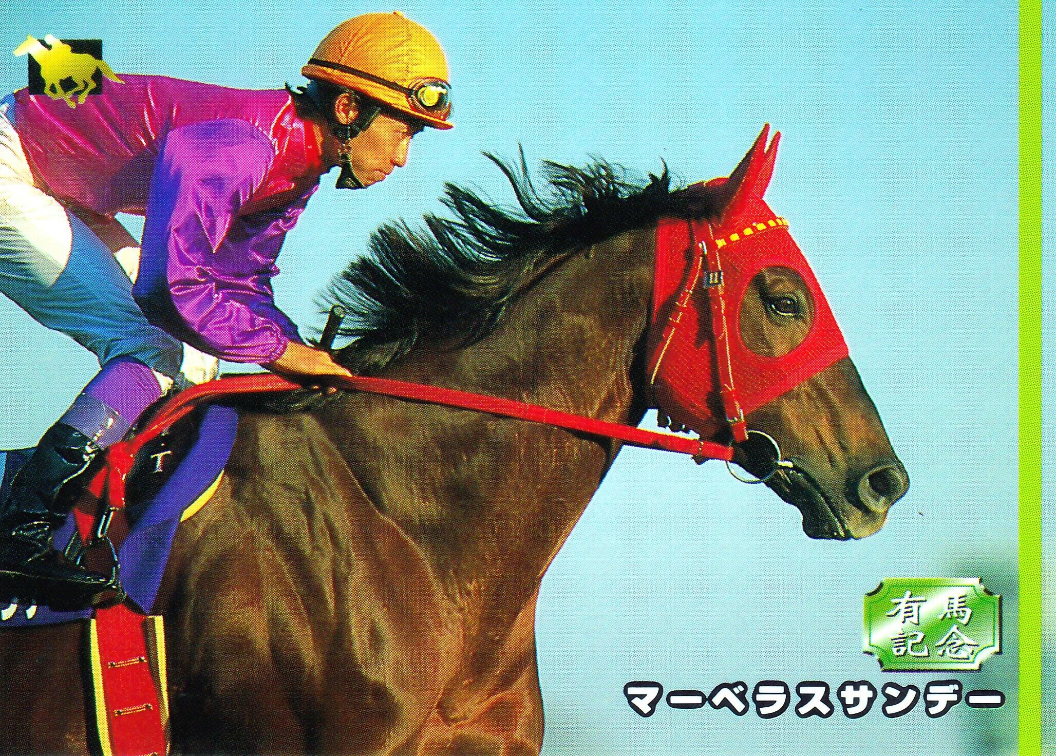 マーベラスサンデー：第41回有馬記念出走馬「サラブレッドカード 96年
