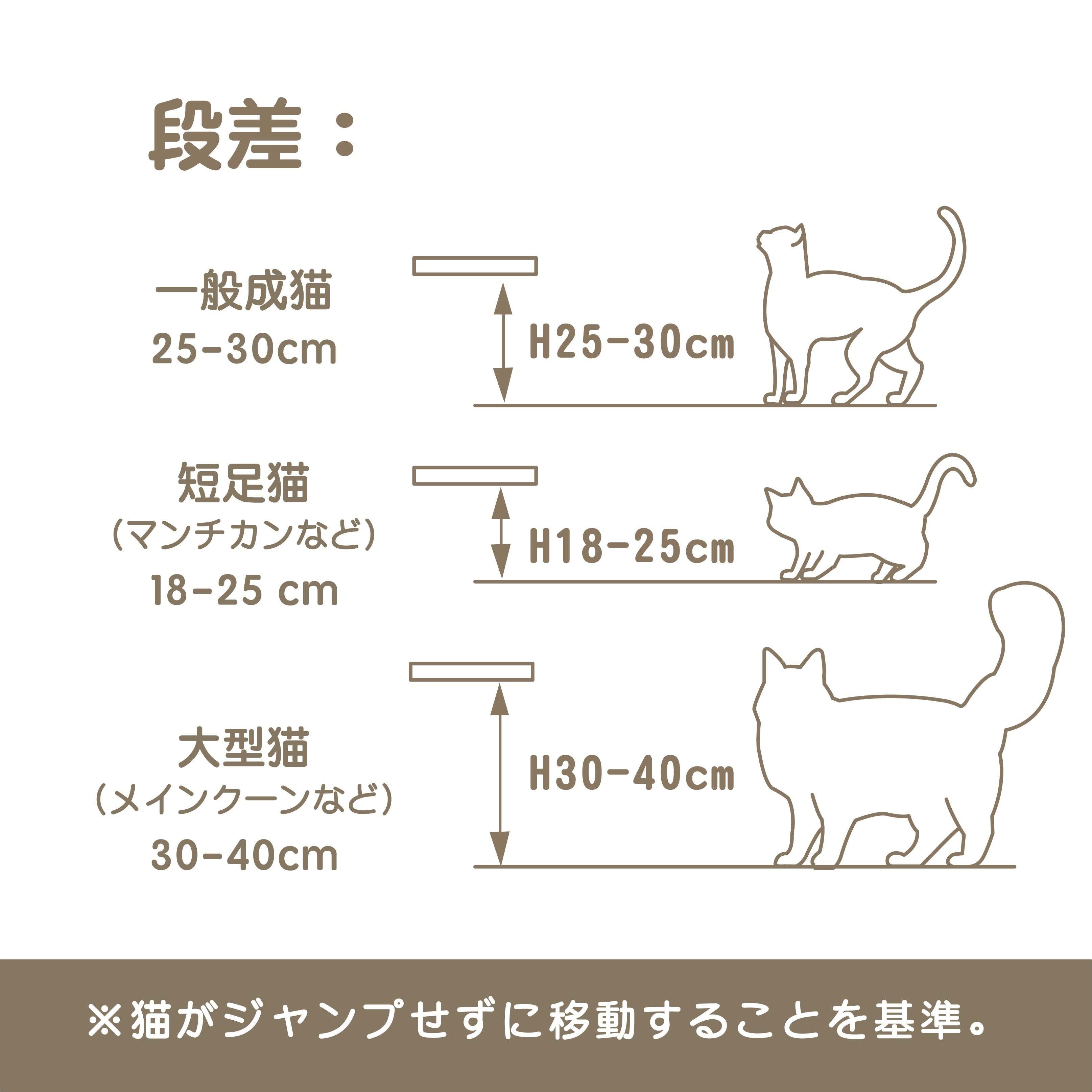 Round Lack Clear(キャットステップ)-MYZOO【nekokobo select】 | 猫の