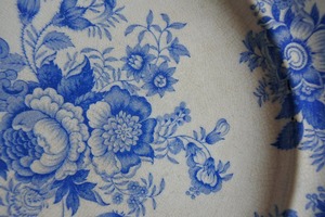 19th C. English Plate, Victorian Transferware Asiatic Pheasants A