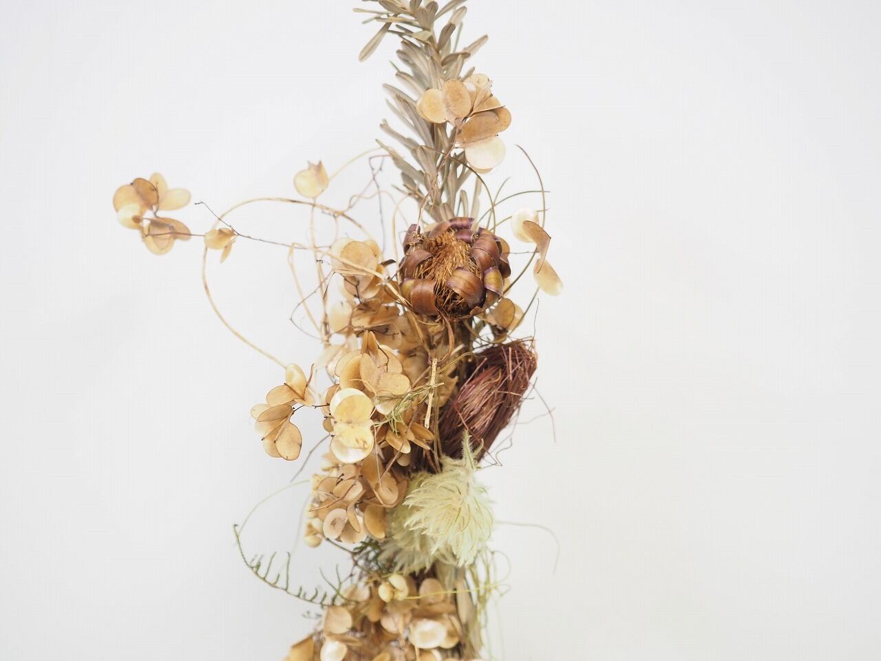 やまいもつるのスワッグ | lovrik