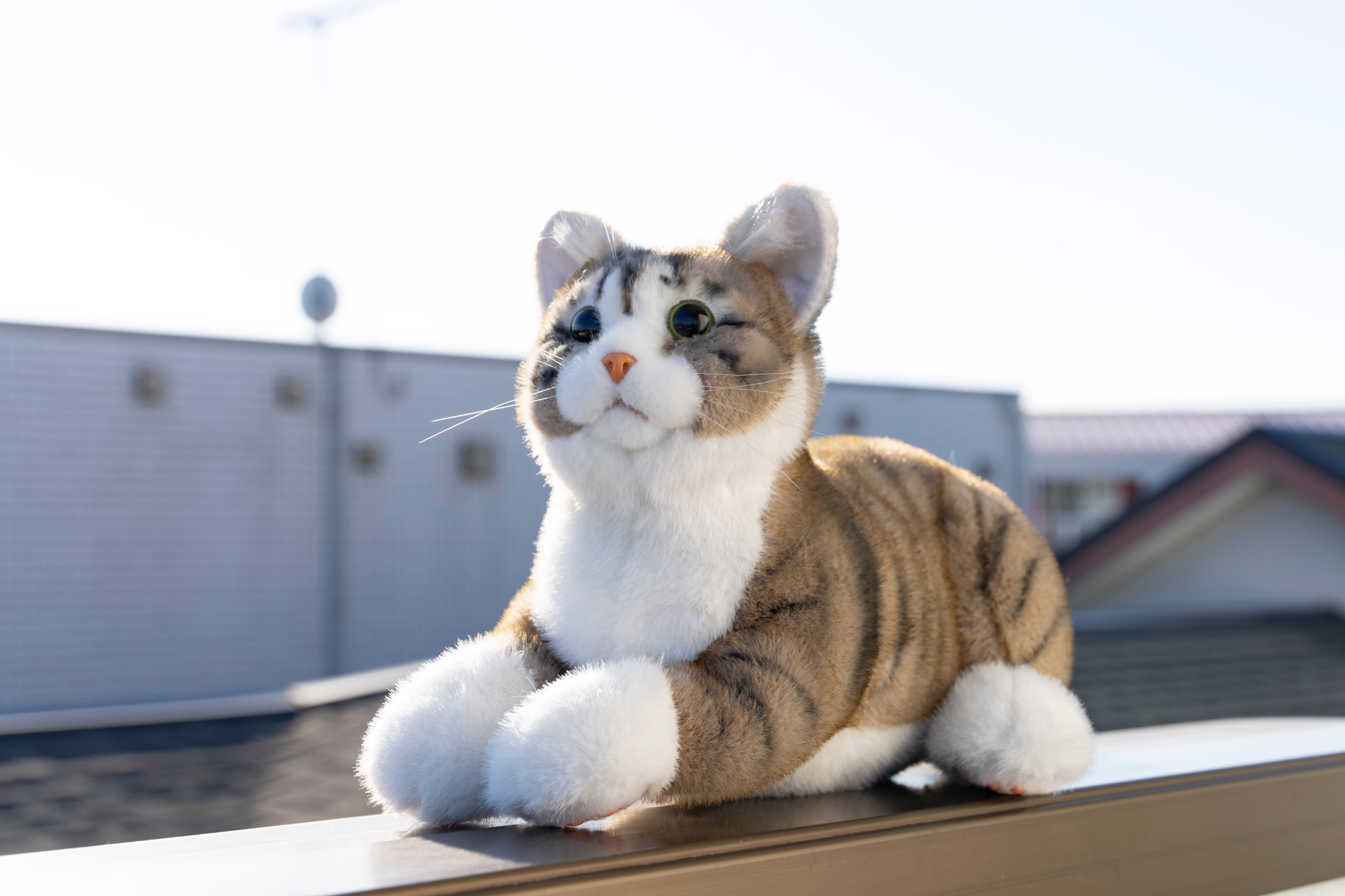 なでなでねこちゃんEX キジトラ | トレンドマスター