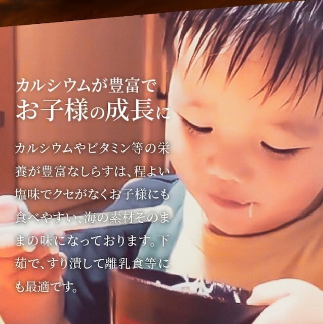 宮崎県日向灘しらす干し 1kg【マルナカ海産】002-076 | のべちょる