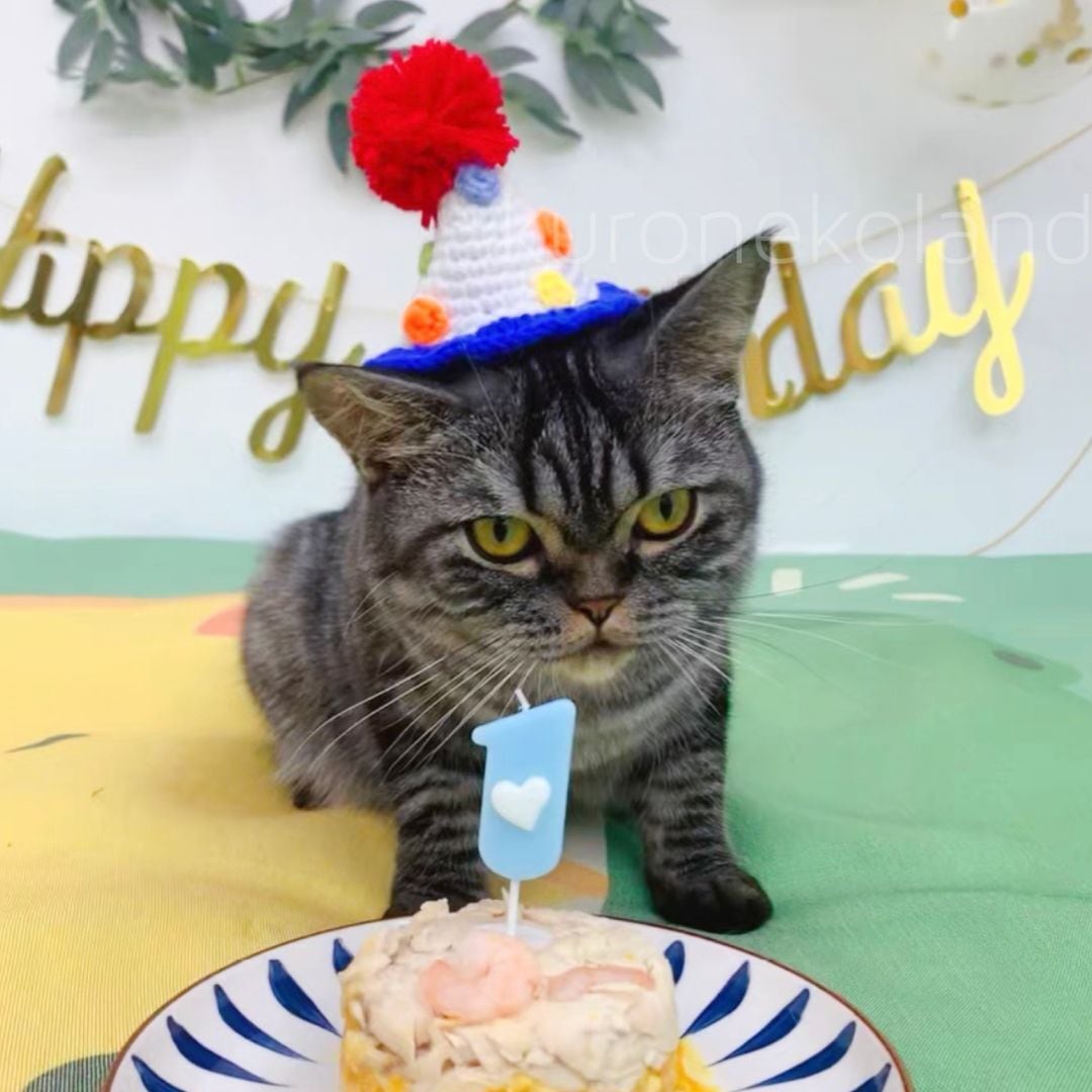 猫の帽子】送料無料 編み 毛糸 帽子 バースデーハット 誕生日帽子
