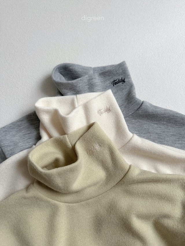 digreen25wn_Teddy Turtleneck