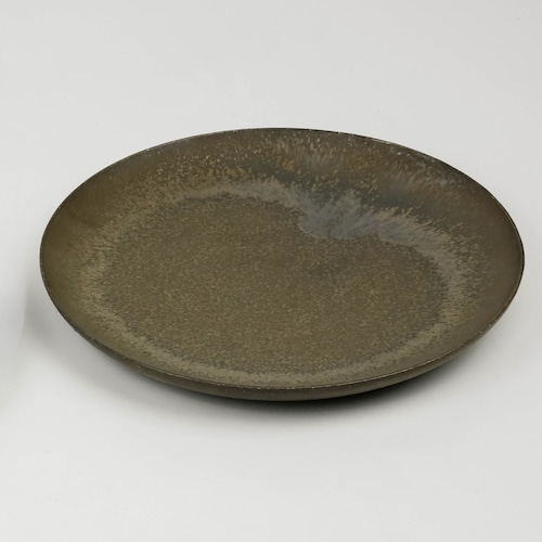 竹口 要 | マルプレートφ21 画像