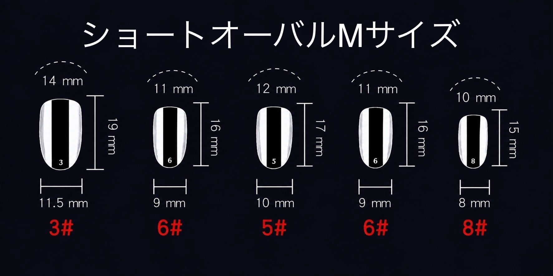 ネイルチップ：IMP260048 NailTipCollection | RBN(アールビーエヌ)