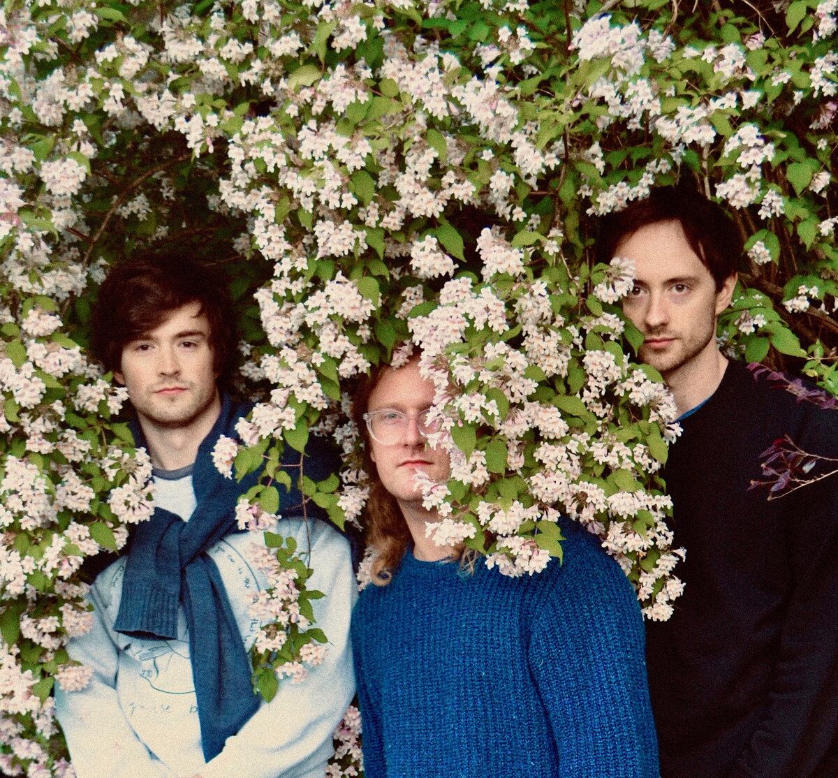 Stray Fossa / With You For Ever(100 Ltd LP)