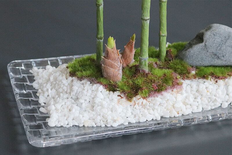 盆栽 竹 Bamboo Bonsai #158 | Oh! BONSAI