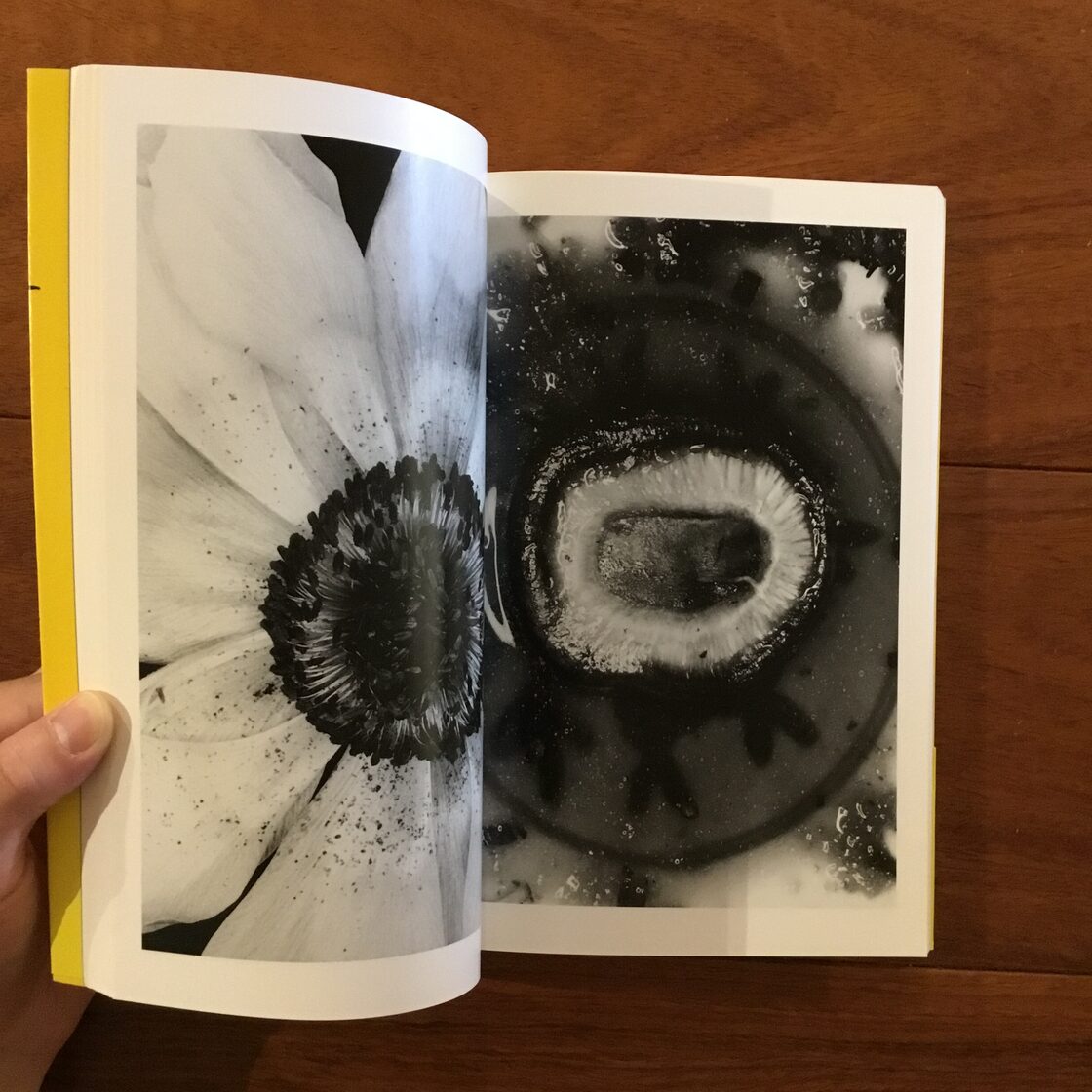 荒木経惟写真全集16巻 エロトス | PAY ID