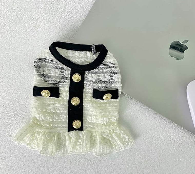 【SALE】cha see-through crop top XS ~ XL 2color / 犬服 春夏 新作 Tシャツ ドッグウェア ショート丈 シースルー 袖なし 小型犬 中型犬 クロップドトップス 涼しい お揃い シンプル