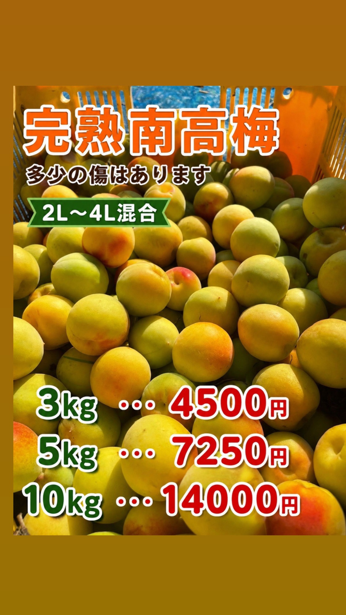 完熟南高梅 3kg | kazumama kitchenぷぅ