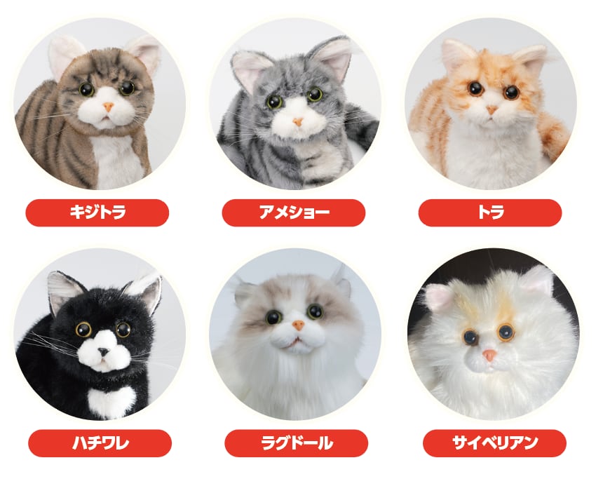 なでなでねこちゃん子猫ちゃん ハチワレ | トレンドマスター