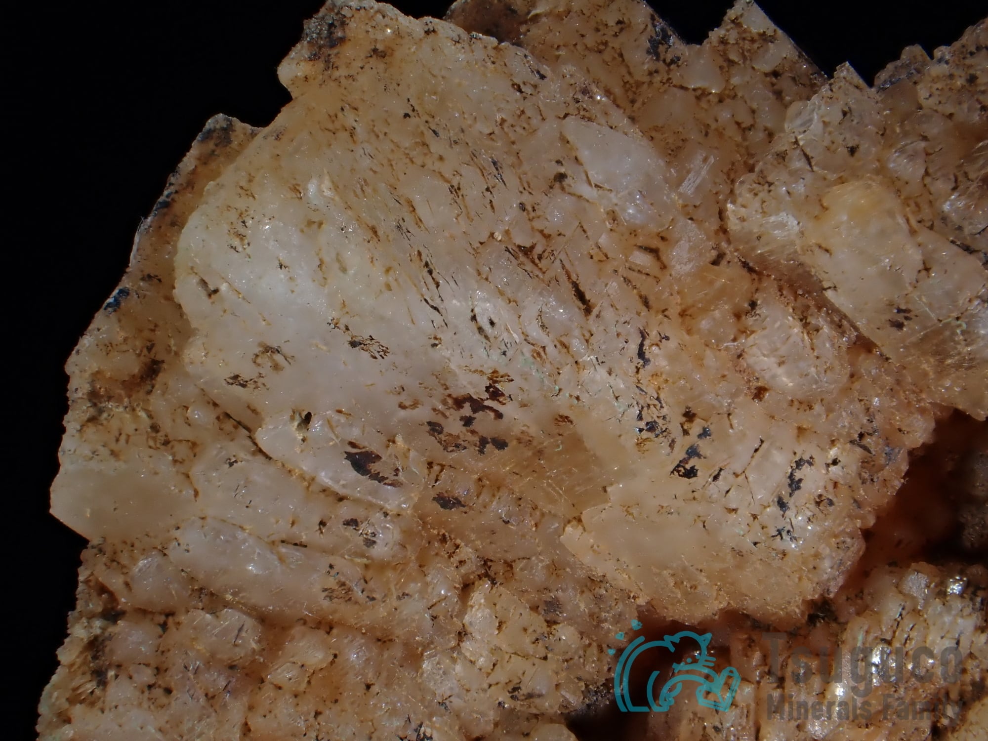 アデュラリア（氷長石） | つぐこみねらるず ｜鉱物・原石・天然石の販売