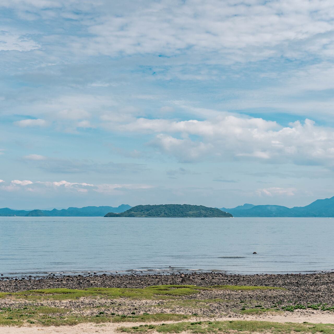 極味 手延べ太麺パスタ 9kg | 池田製麺工房