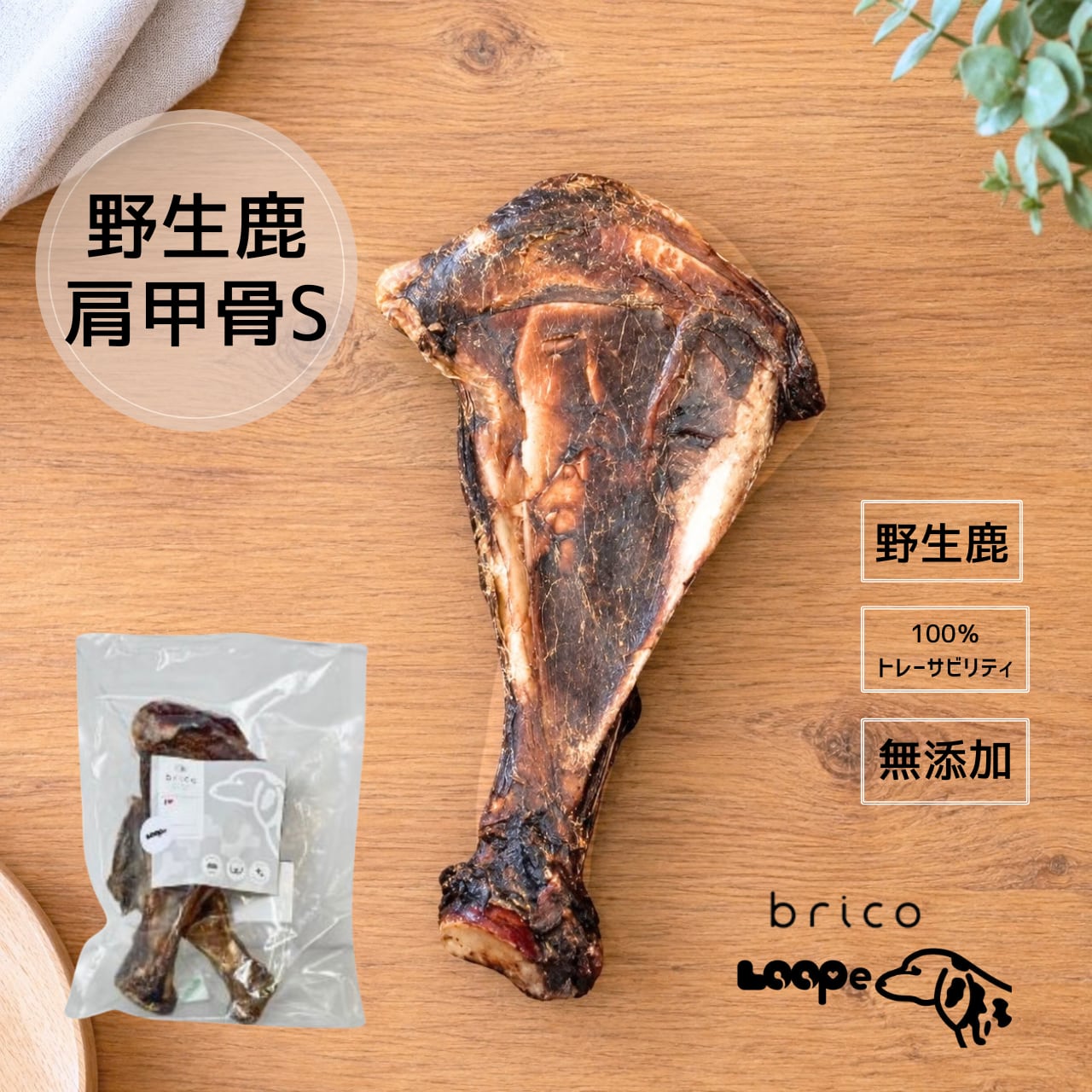 LOOPe(ループ) 肩甲骨 Sサイズ
